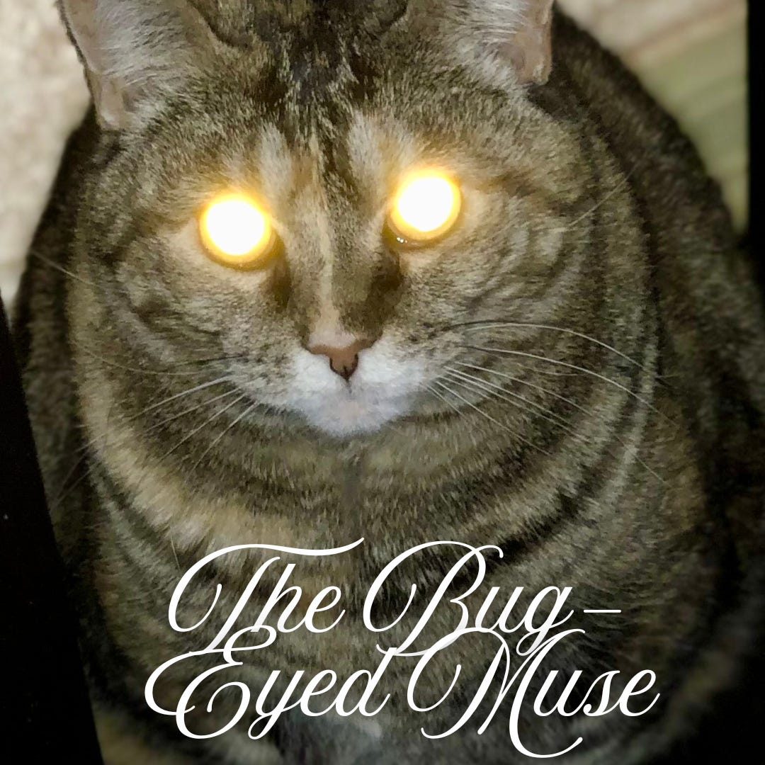 The Bug-Eyed Muse, a journal on writing a novel