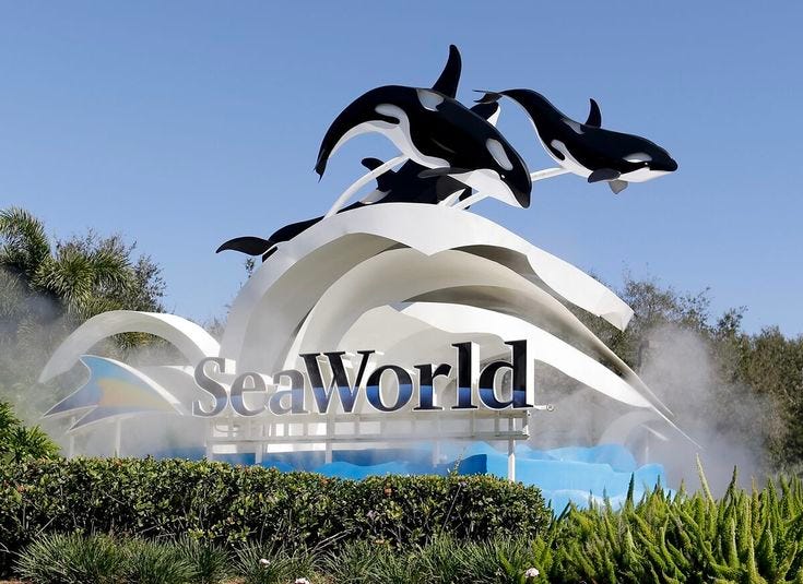 This may contain: the sign for seaworld with three orca jumping out of it