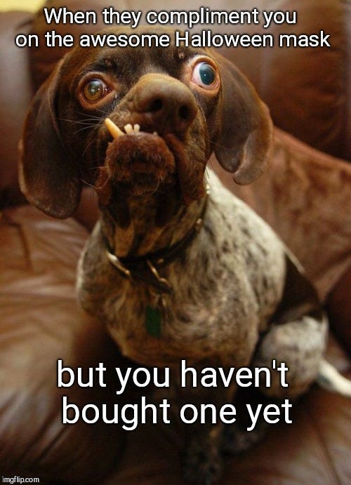 Image tagged in cute,halloween,that look dog - Imgflip
