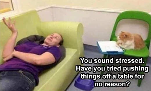 Cats Meme Gallery - Politically Incorrect Humor Cats Meme Gallery - Politically Incorrect Humor