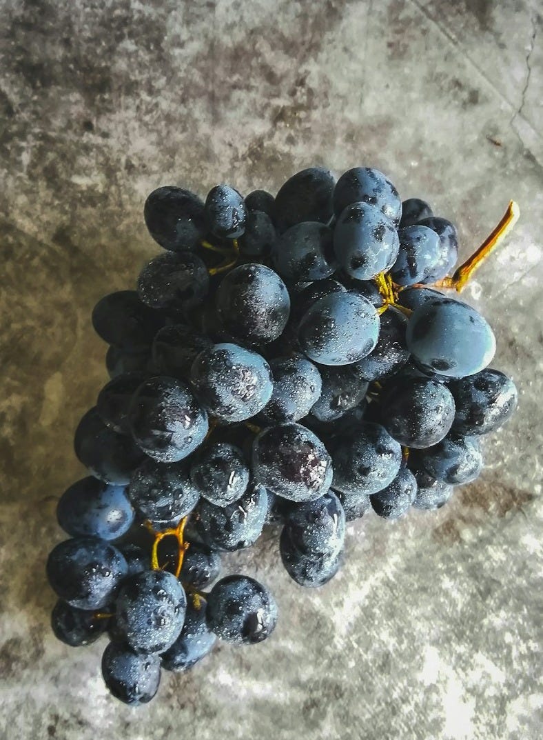 blue berries on gray concrete floor