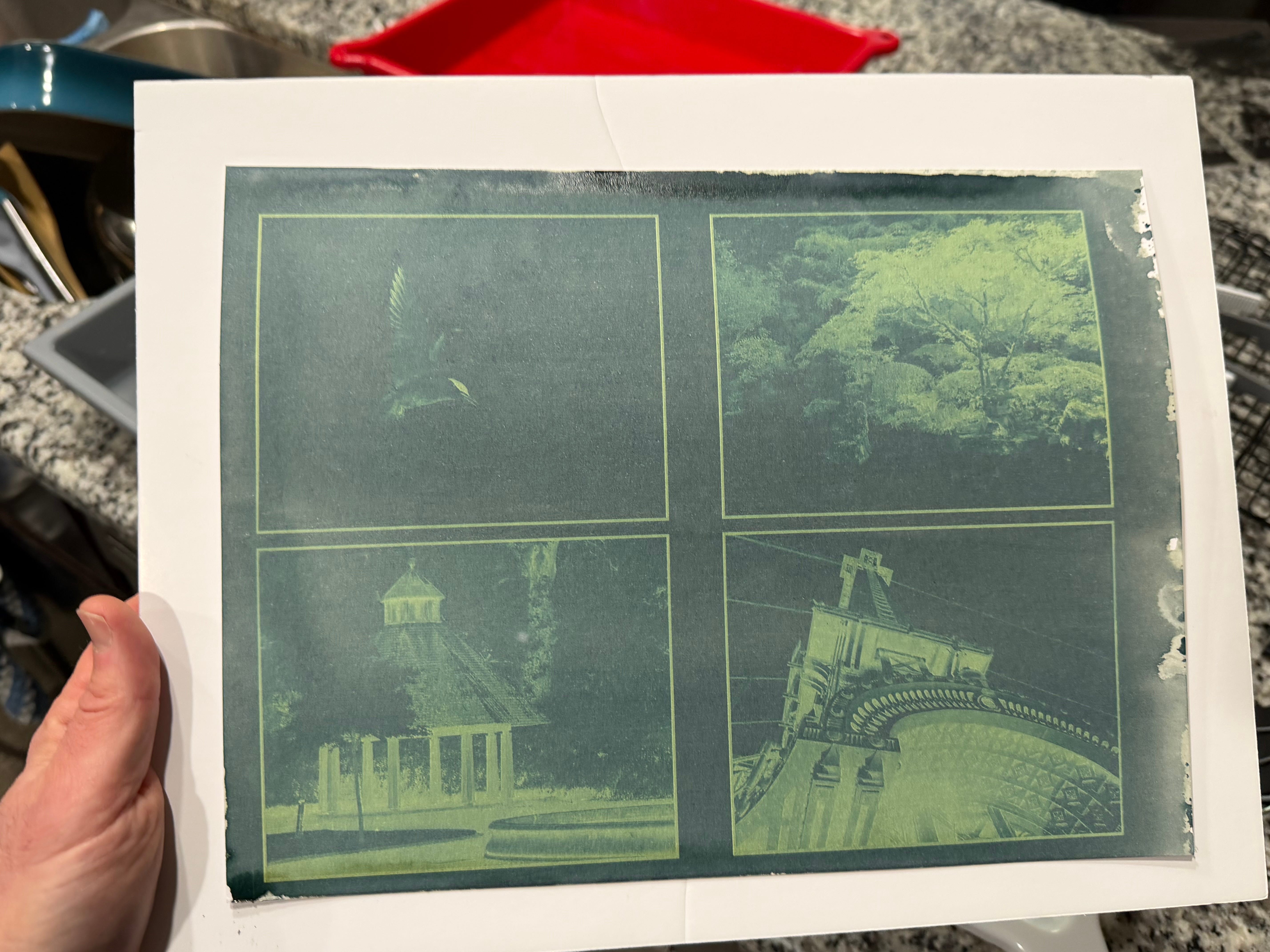 Cyanotype Printing at Home - by Jason Odell
