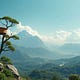 Beyond Growth - the Evolution of the Shrinking Economy