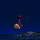 Gourd Reports