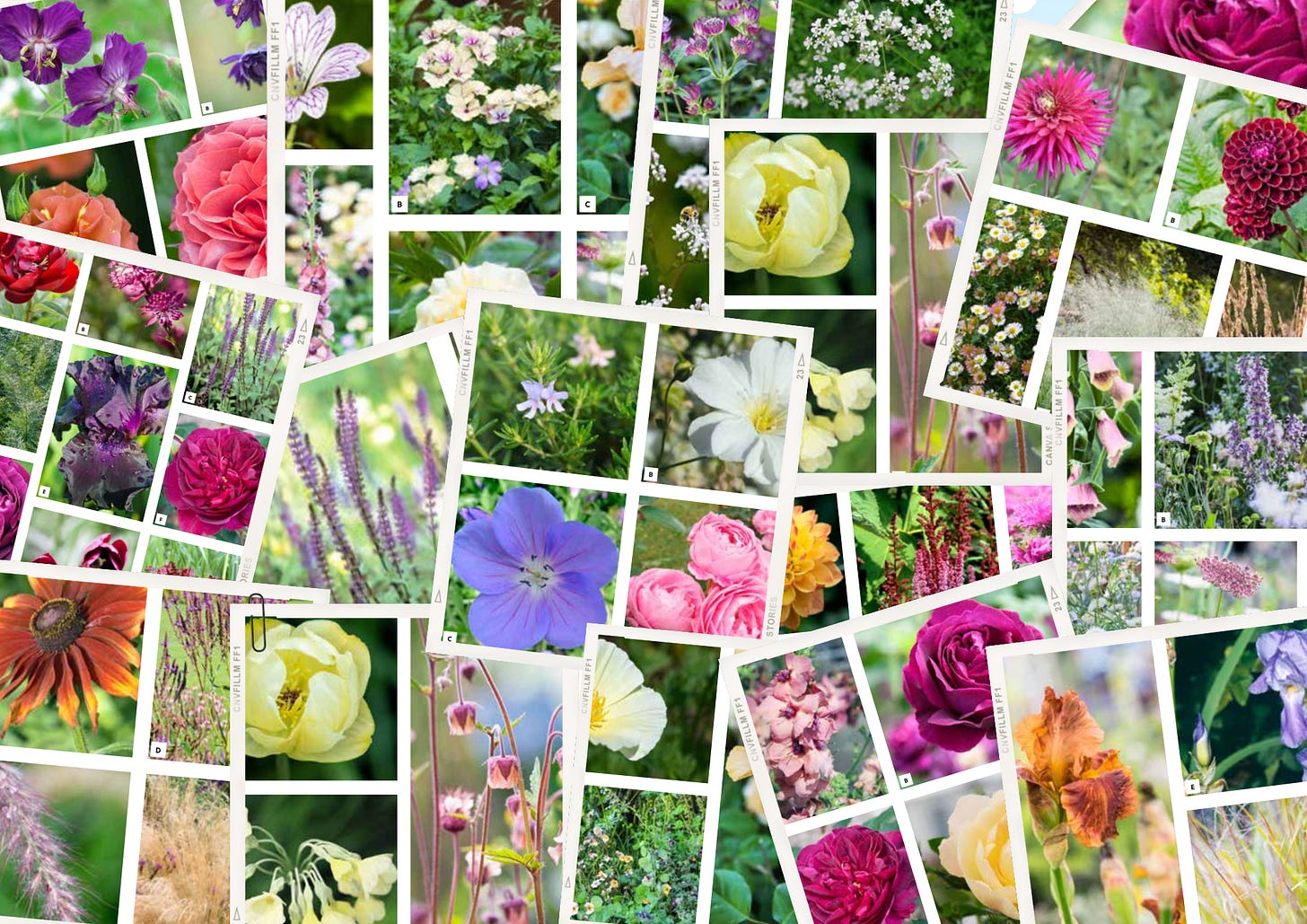 hundreds of different seasonal colour planting palettes
