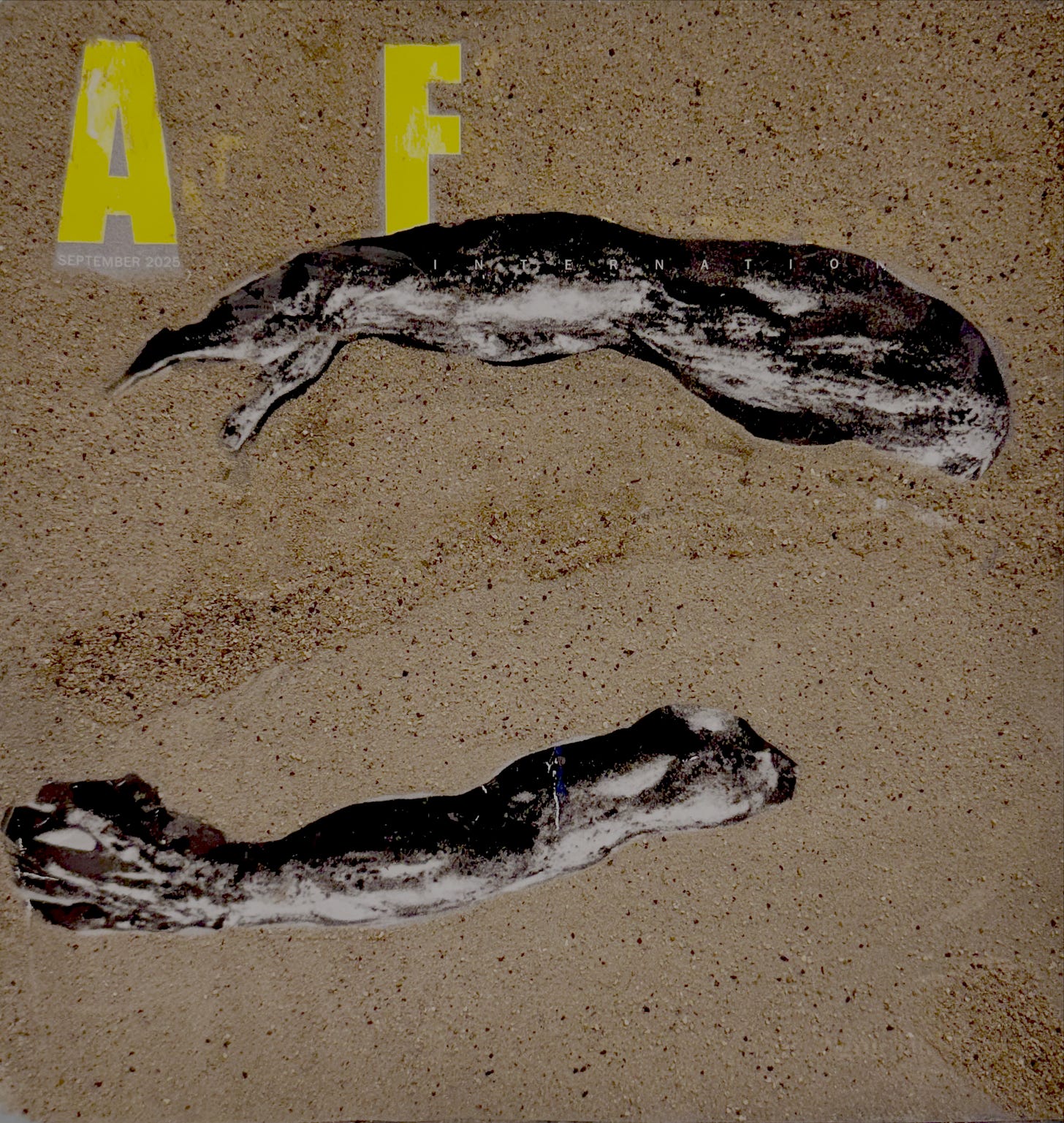 A wall-mounted sculpture made from a September 2025 issue of Artforum magazine with its pages glued together and the cover coated in a layer of real soil. Most of the cover is obscured by dirt, leaving only fragments visible: a printed yellow “A” and “F” from the title, the small white text “September 2025,” and part of a black-and-white image showing muscular arms from the artwork reproduced on the original cover.