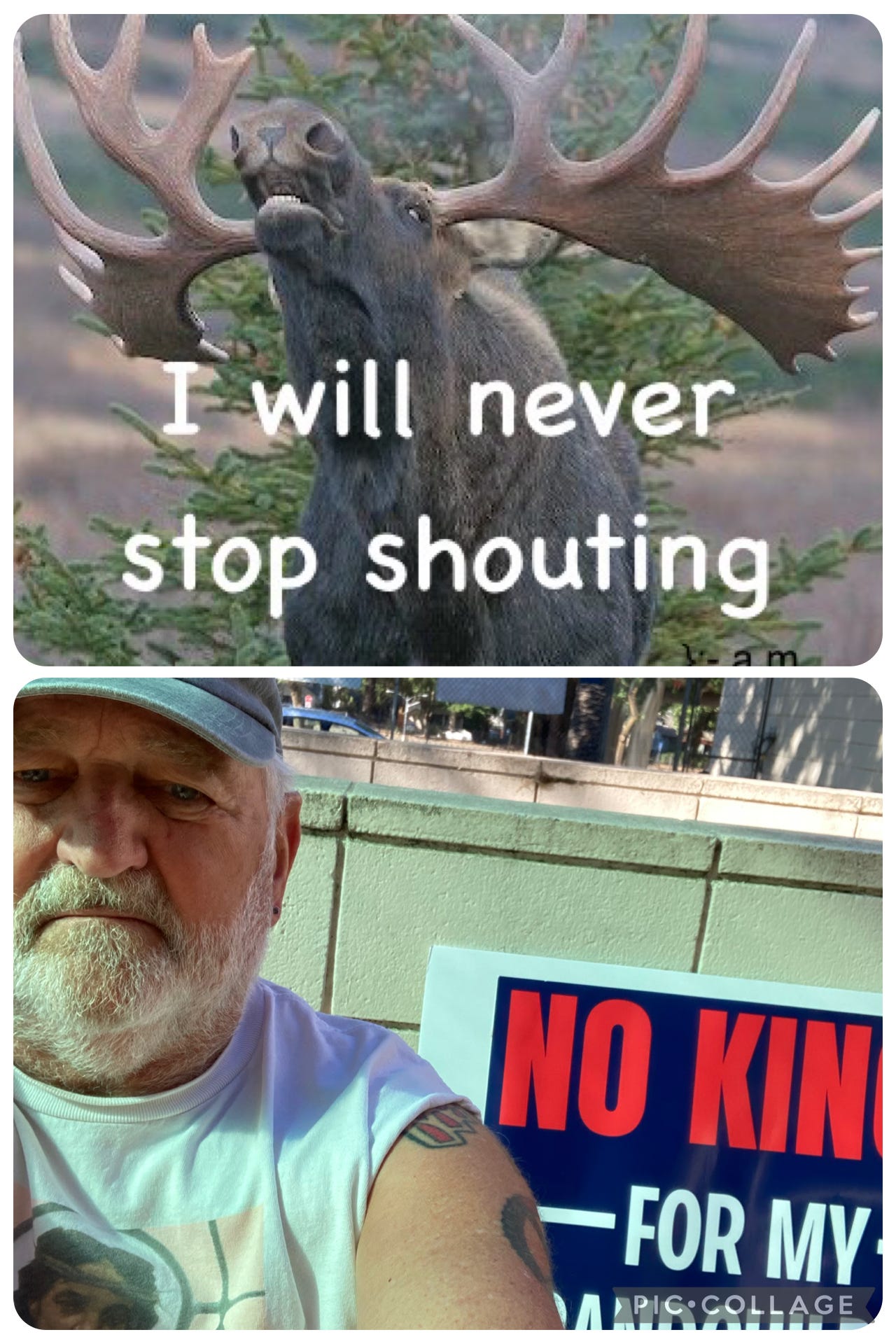 IMG_0435.jpeg