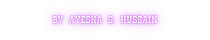 LoveShack by Ayesha S. Hussain