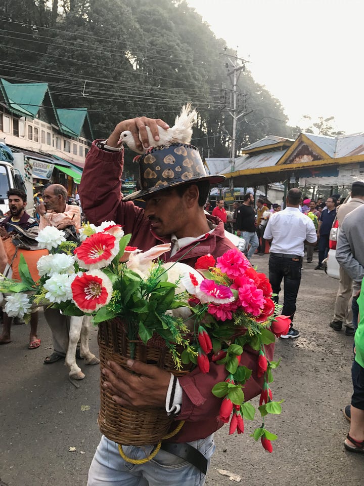 Same emotion, different continents. Pigeon man as a tourist attraction in Dalhousie (India) 2017 and in Bath (UK) in 2015.