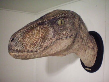 Velociraptor head Velociraptor head