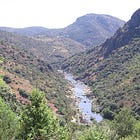 The Last Wild River