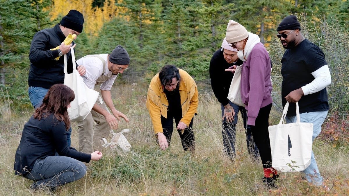 Seven people stand in tall grass and look down; some are holding bags