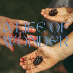 A Life of Wonder logo