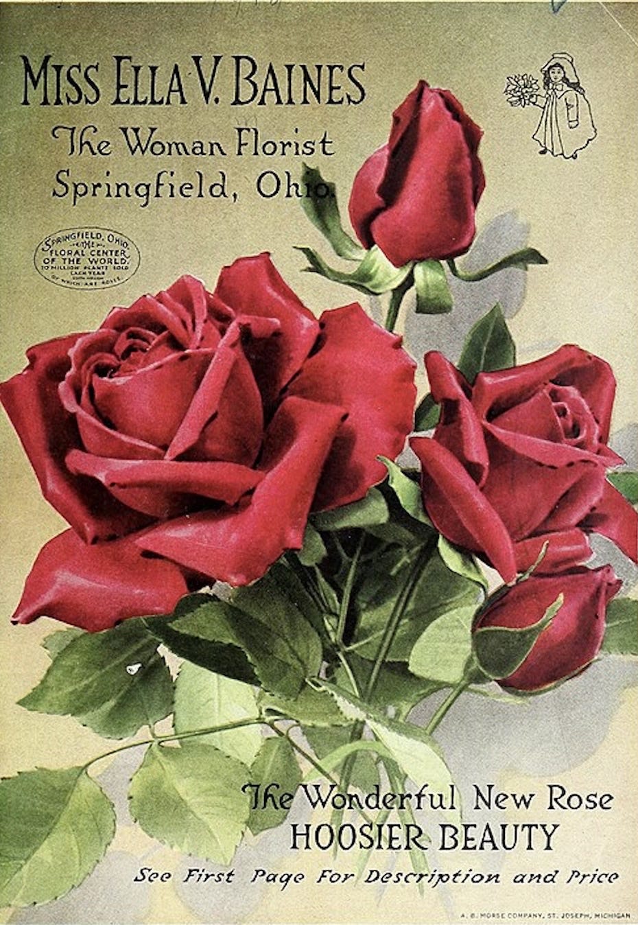 Color advertisement circa 1918 featuring an illustration of red roses. Text: Miss Ella V. Baines, The Woman Florist, Springfield, Ohio. The Wonderful New Rose, Hoosier Beauty.