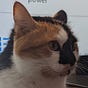 Emma's avatar