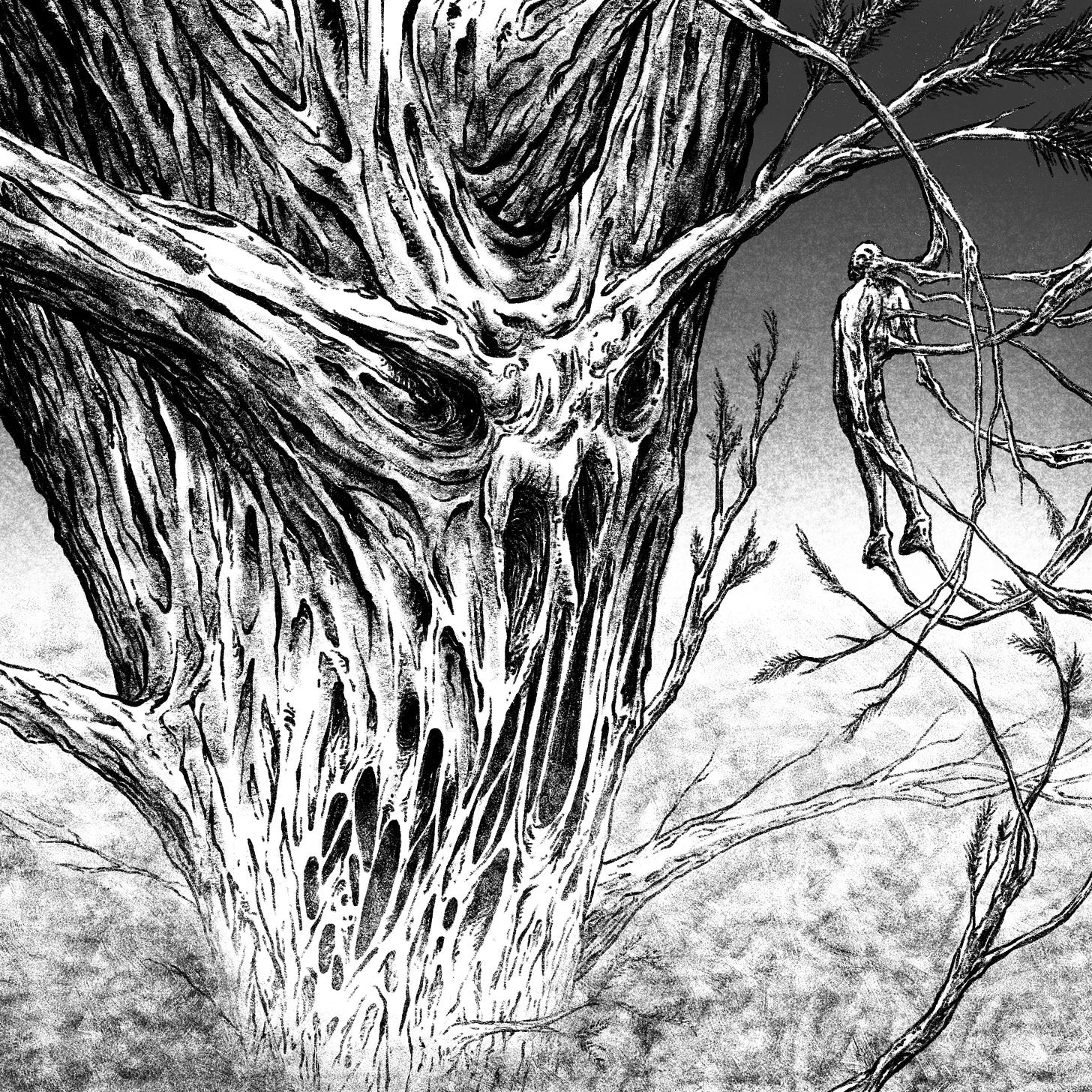 King Tree, a monstrous and sentient tree, interrogates its next victim. King Tree, a monstrous and sentient tree, interrogates its next victim.