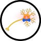 BowTiedNeuron’s Substack