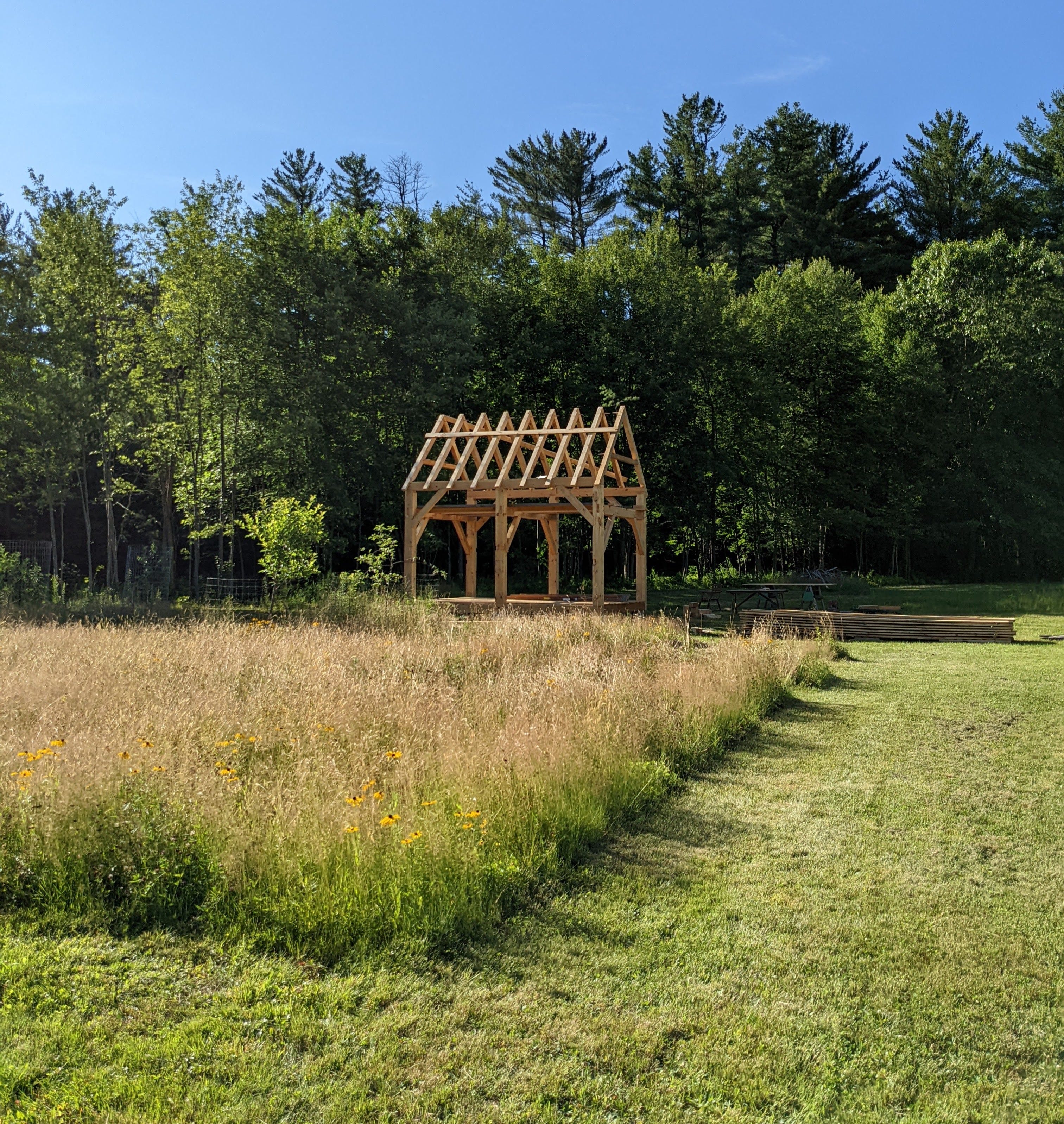 Building The Goose Palace - by Simon Sarris