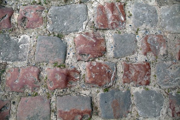 Snake cobbles Snake cobbles