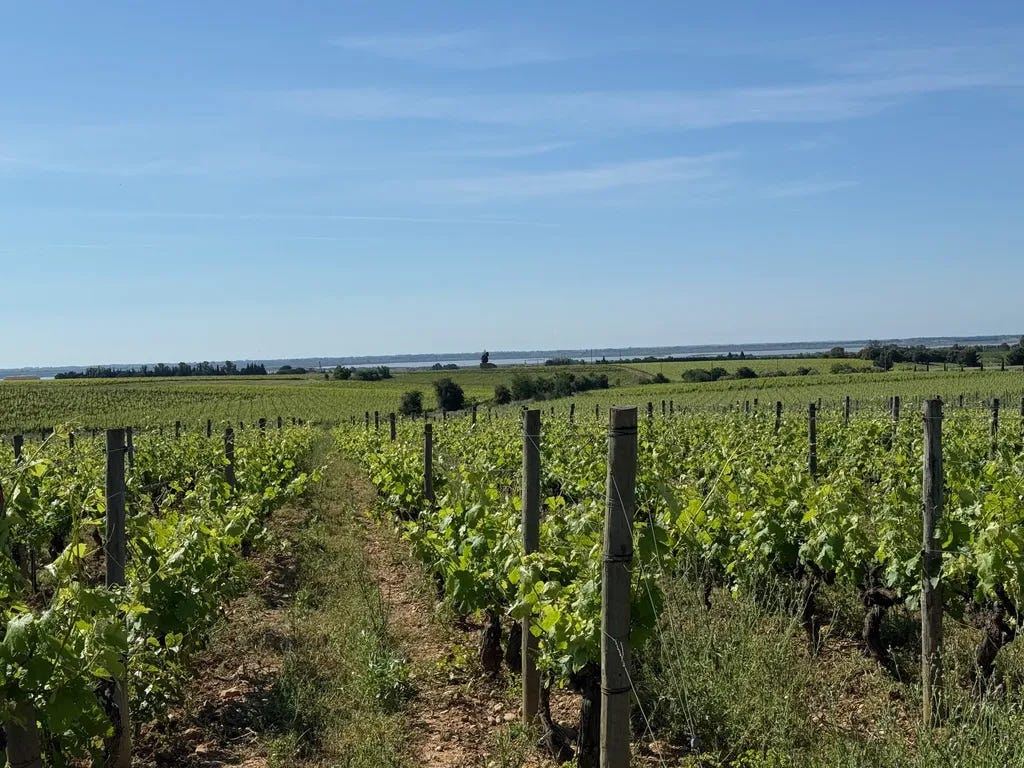 Costières