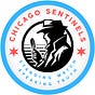 Chicago Sentinels' Substack
