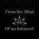 From the Mind of an Introvert