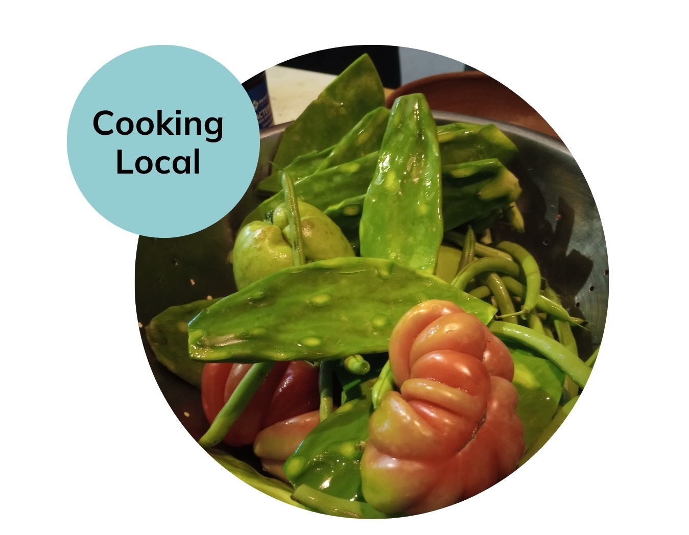 Fresh produce, including tomatoes, beans, peppers, and nopales, from a local market in Oaxaca, Mexico