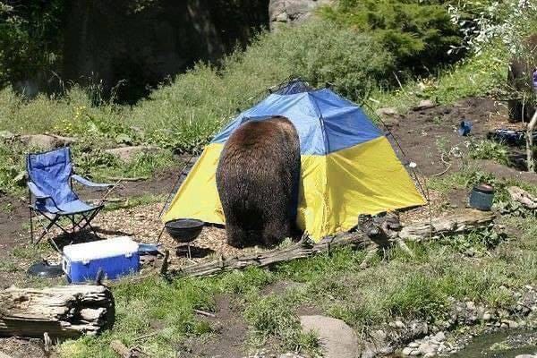 ukrbear