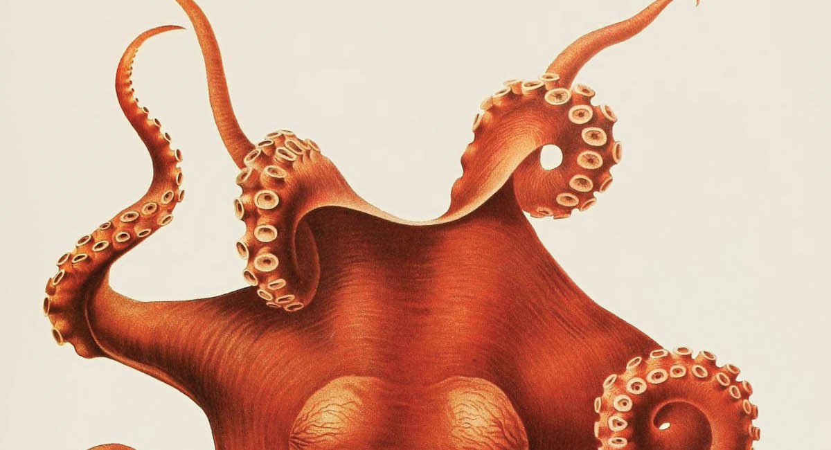 Trust Isn’t a Metric—It’s Your CX Lifeline 