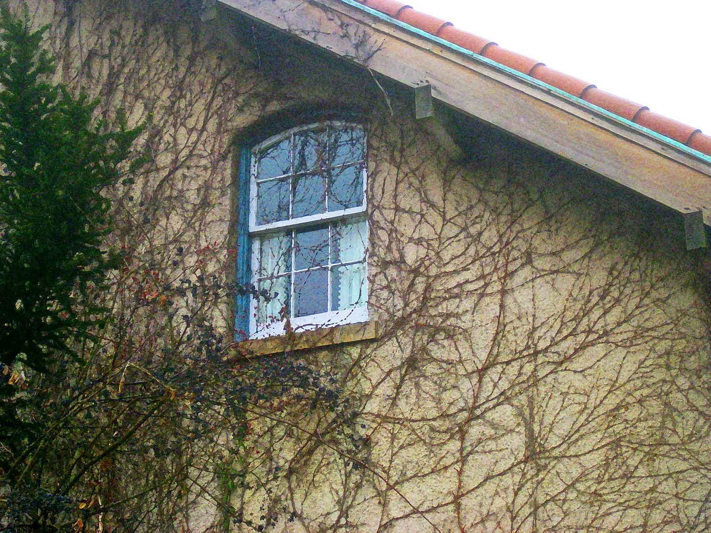bedroomwindowdrybrush
