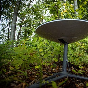 Elon Musk: The accidental sovereign?