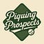 Piquing Prospects's avatar