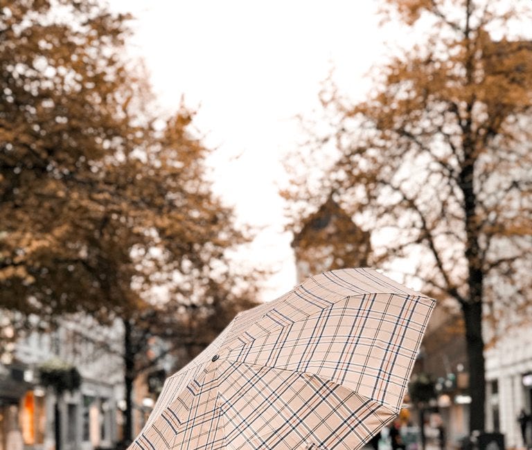 Living the Season: What’s Your Vision for Autumn in Midlife?