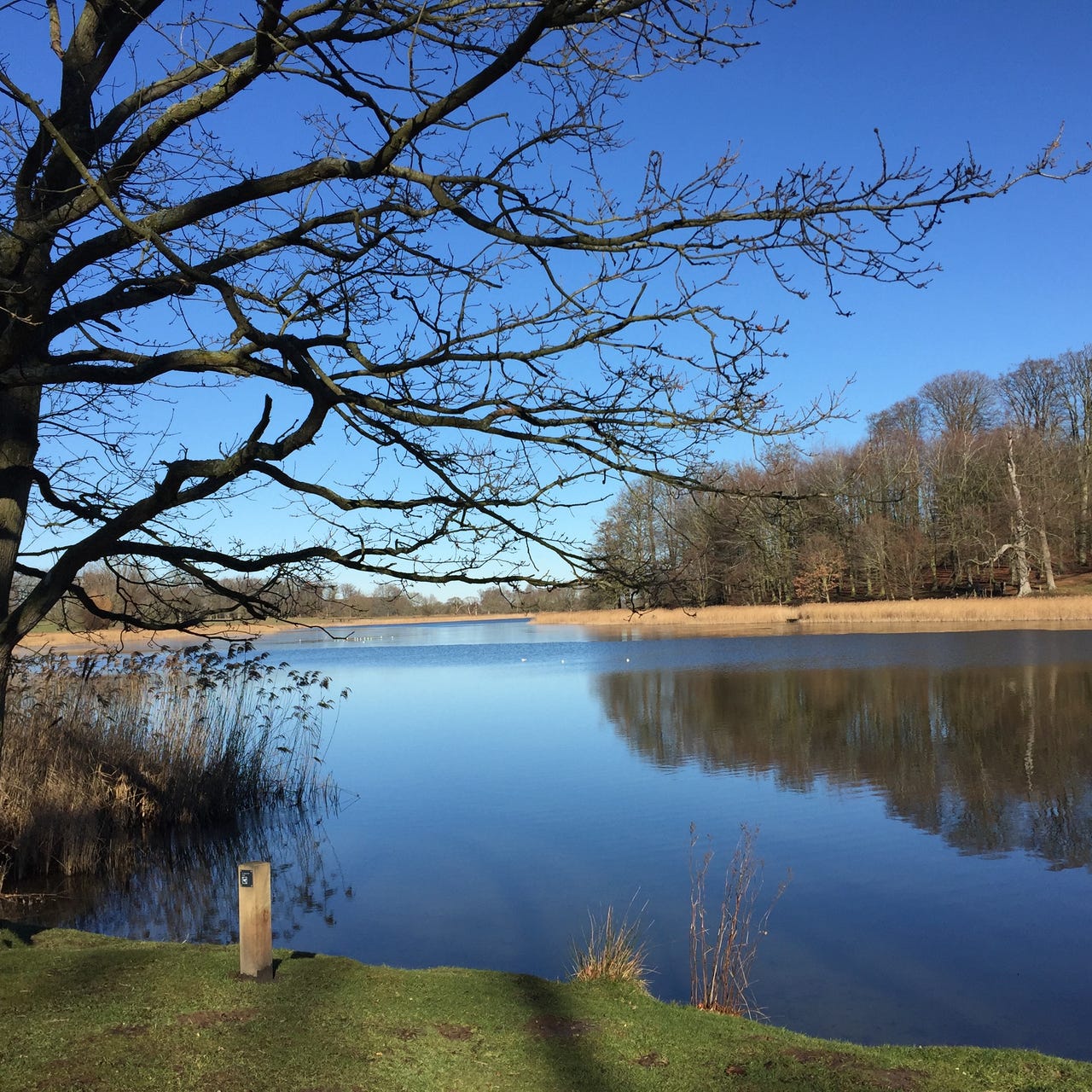 EarthBody Conversations