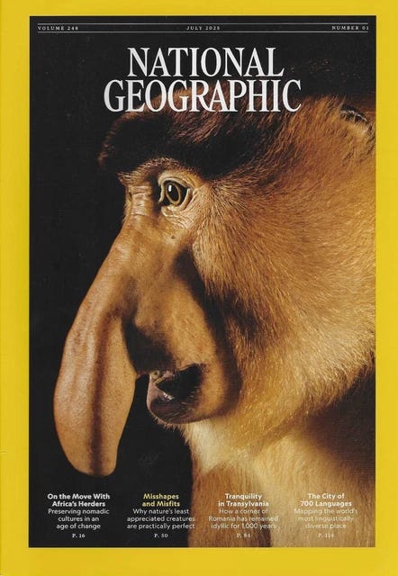 NATIONAL GEOGRAPHIC July 2025 Misshapes & Misfits $20.57 - PicClick CA