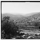 Giorgio Agamben and the End of Judaism I 