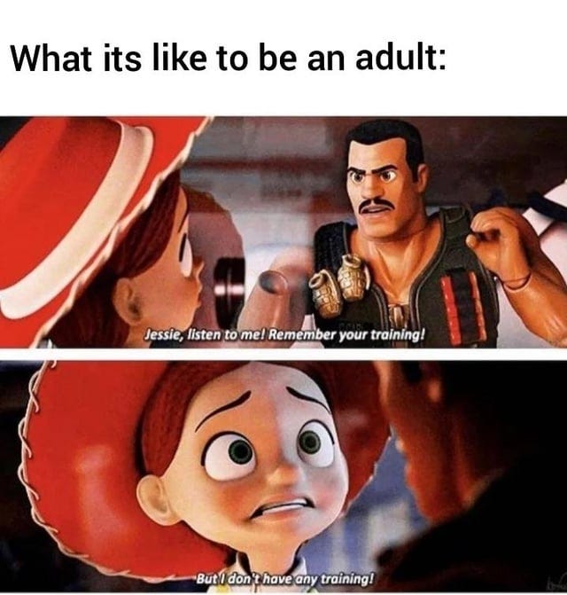 r/memes - What its like to be an adult: Jessie, listen to me! Remember your training! ButI don't have any training!