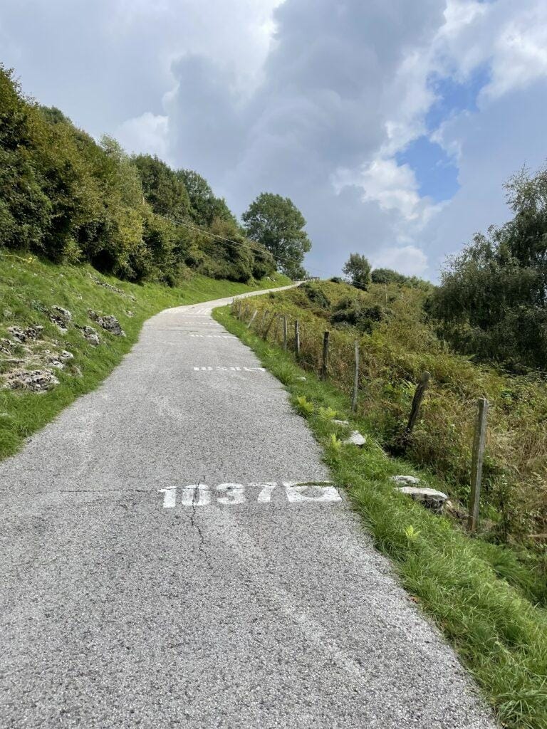 Afbeelding met buitenshuis, wolk, gras, hemel

Door AI gegenereerde inhoud is mogelijk onjuist.