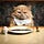 Eat The Cat