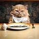 Eat The Cat