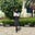 Ayanyemi Anuoluwapo O.'s avatar