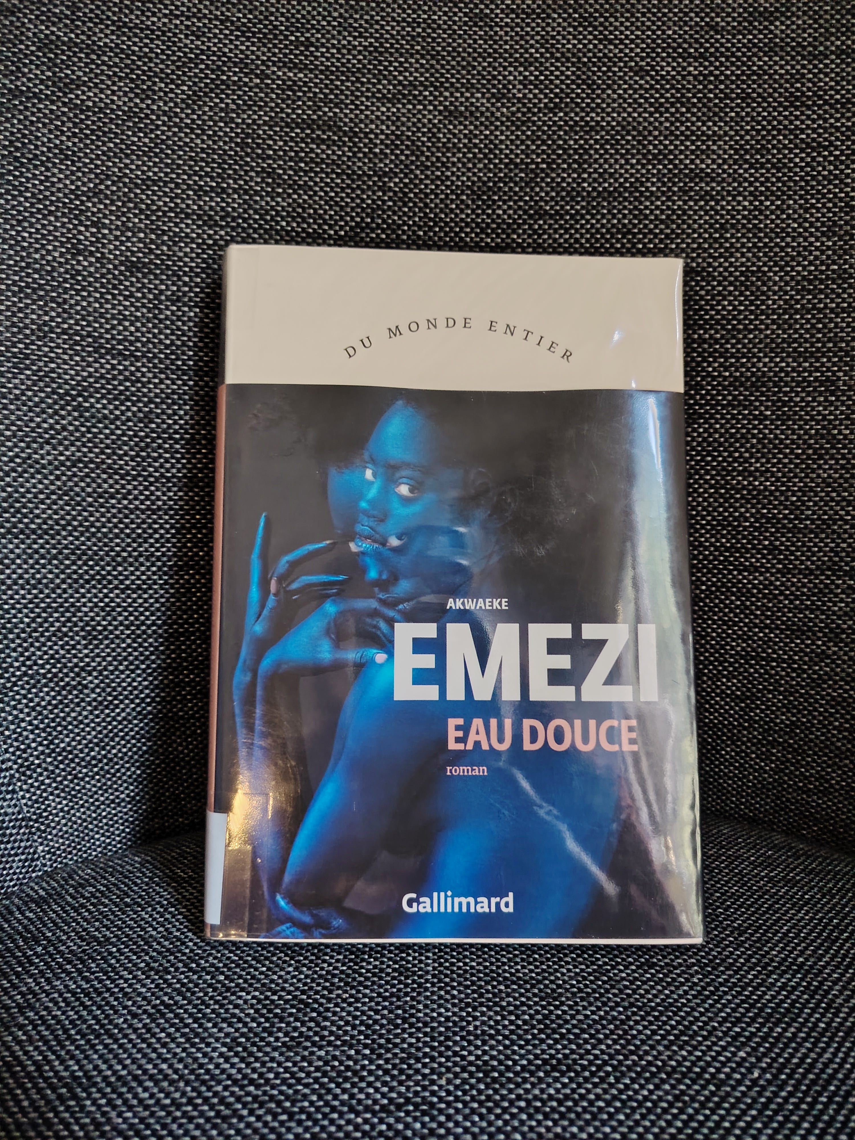 Les recommandations culturelles #3 2026