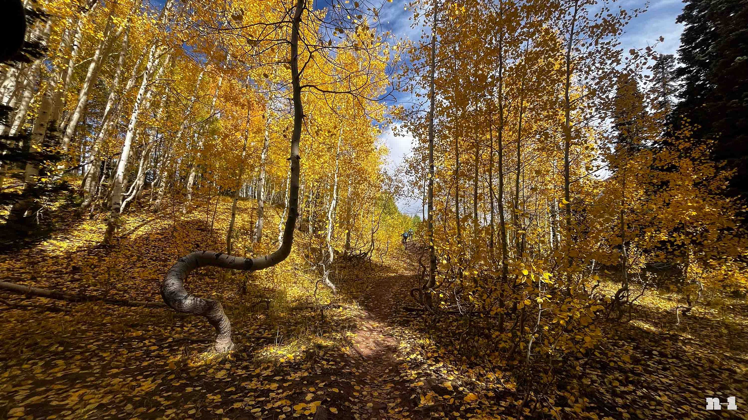 Crested Butte changing colors