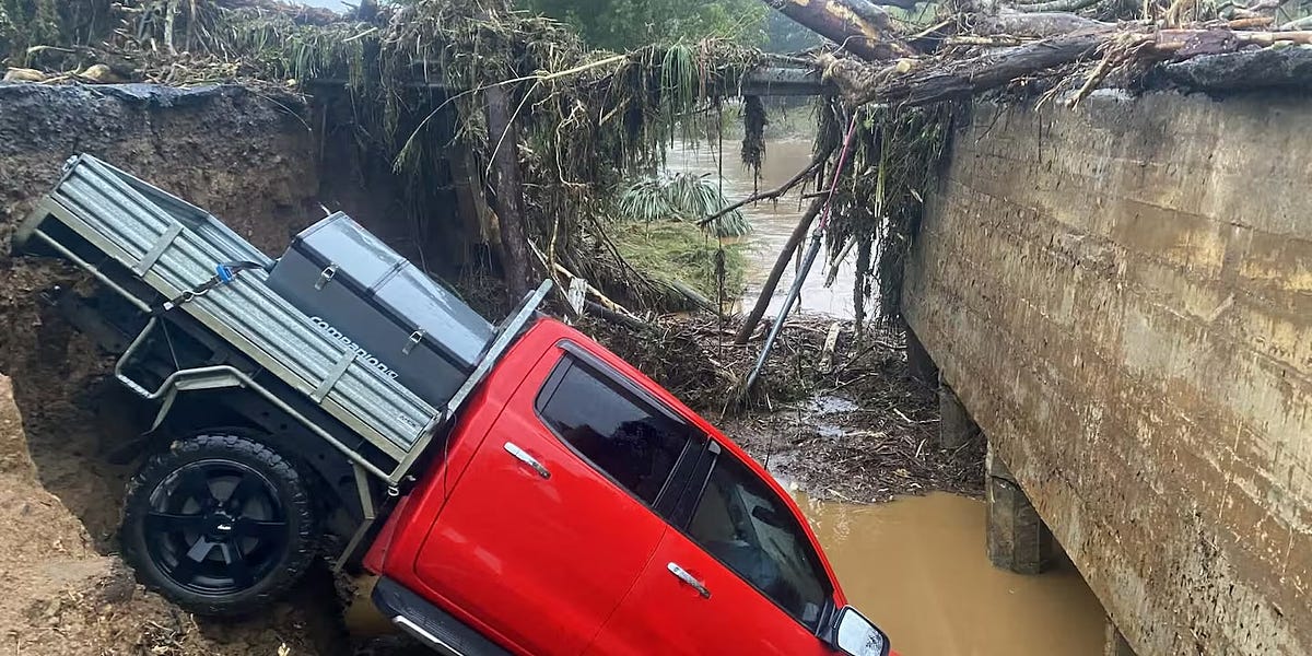 Dawn Chorus: The climate elephant in our (flooded) rooms