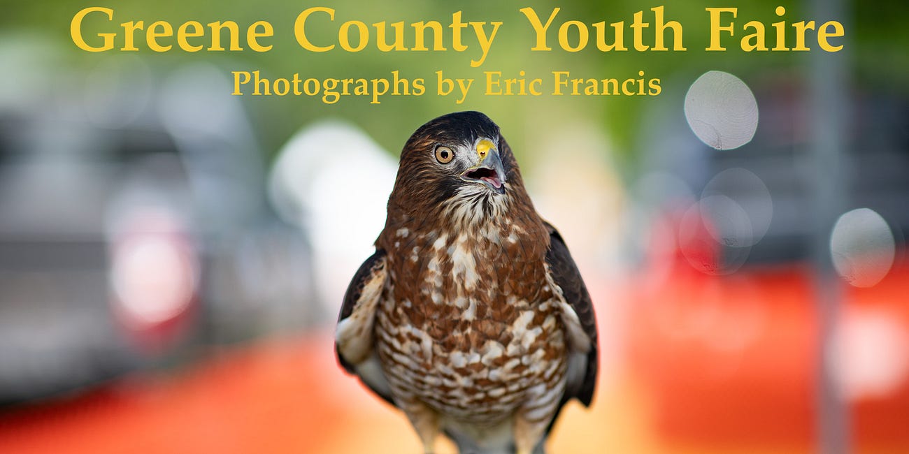 Greene County Youth Faire