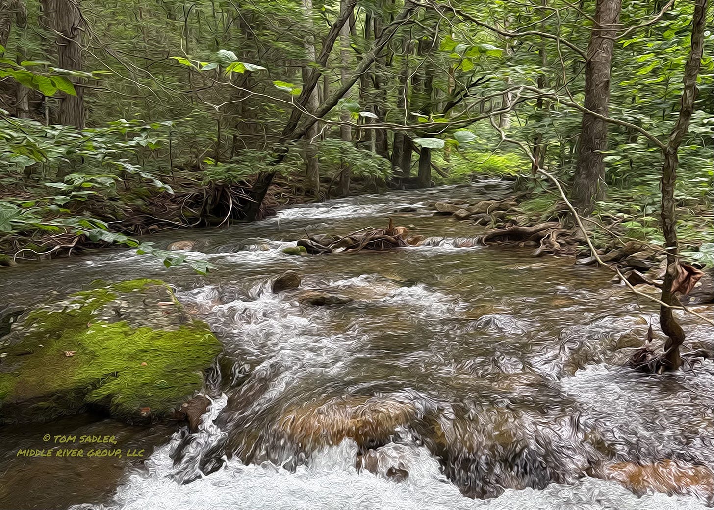 Rendering of a mountain stream in summer