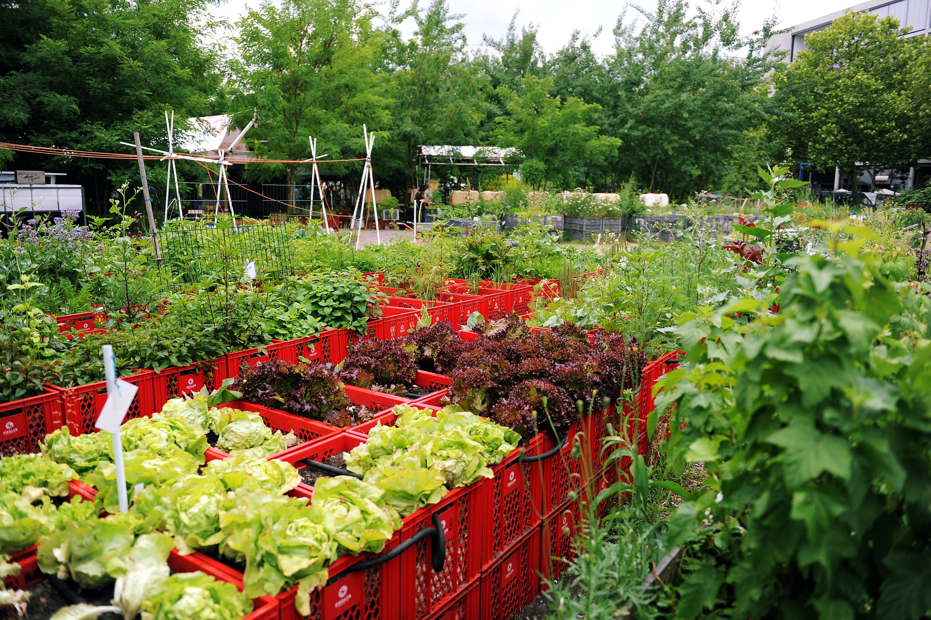 植物との共生」を考えるブックガイド：WORKSIGHTプリント版最新号