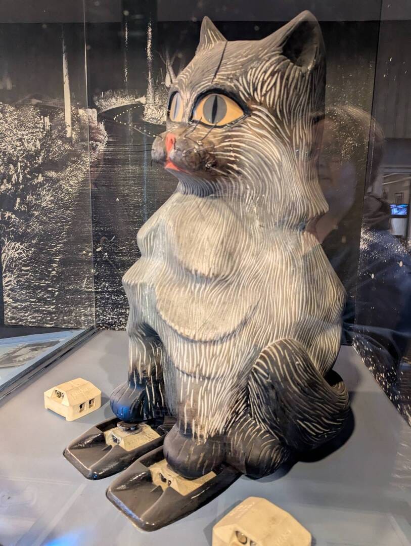 Cat demonstrating cat's eyes Cat demonstrating cat's eyes