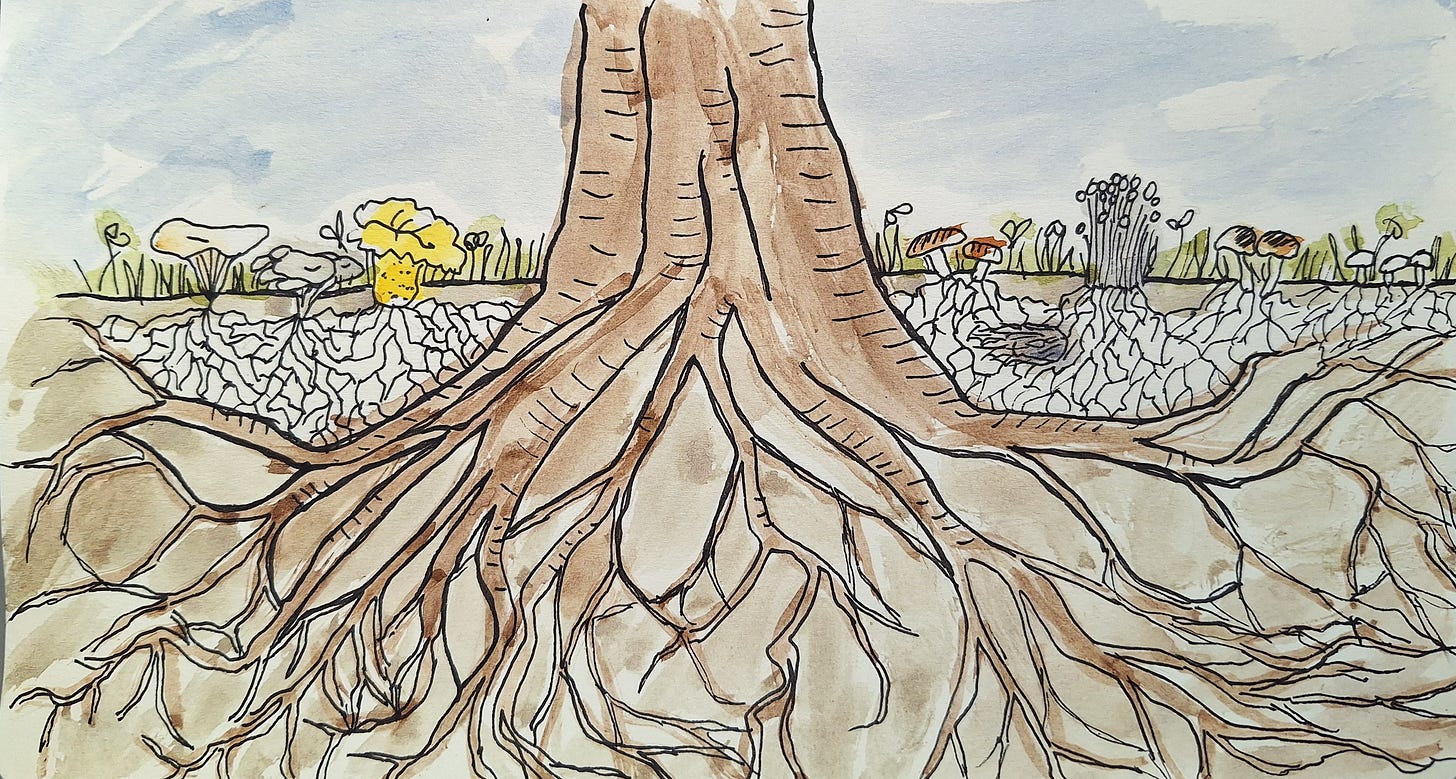 Pen and ink and watercolour sketch of a cross-section of the soil beneath a tree and different types of mushrooms.