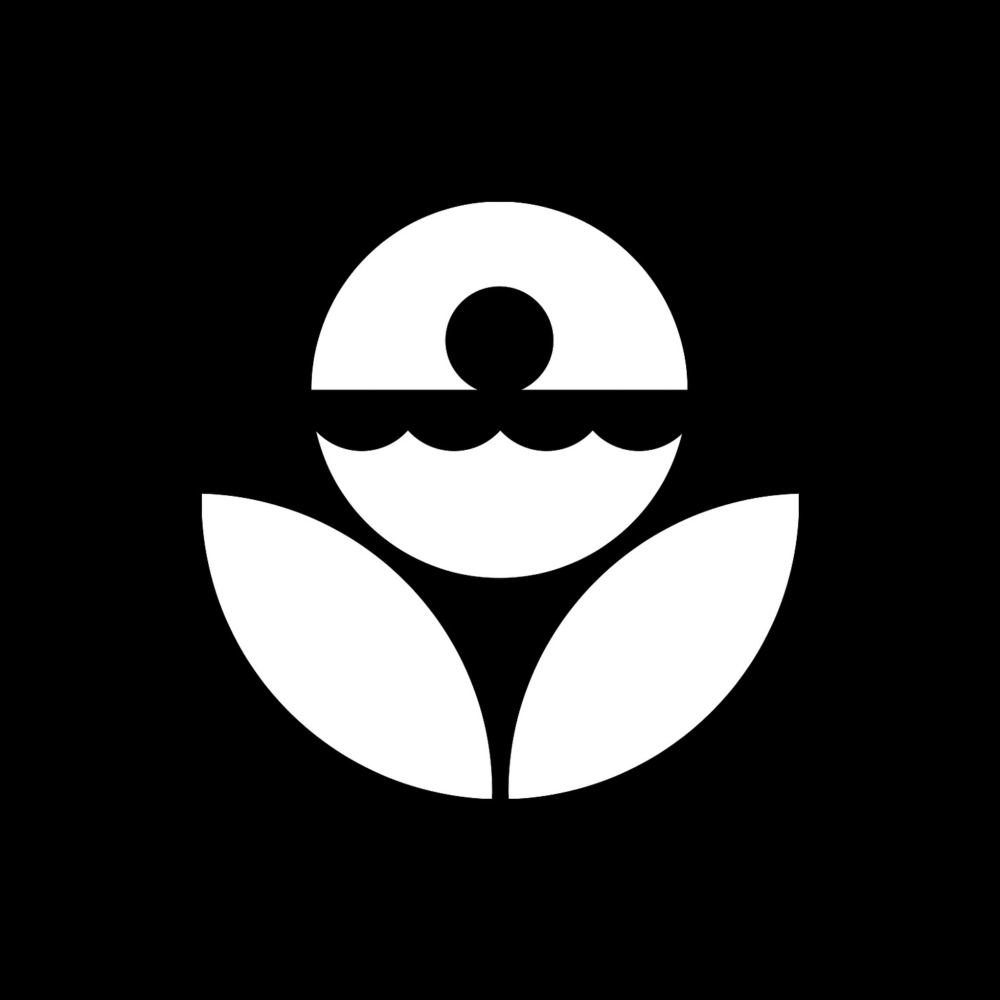 EPA logo by Steff Geissbühler, 1977